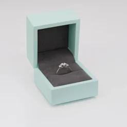 Born Platinum Lab Grown 1ct 3 Stone Round Brilliant Diamond Ring