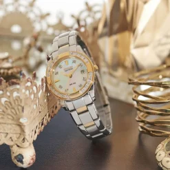 Citizen Eco-Drive Regent Mother of Pearl with Two-Tone Bracelet