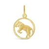 9ct Aries Zodiac Pendant (Chain Included)