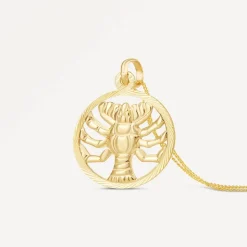9ct Cancer Zodiac Pendant (Chain Included)