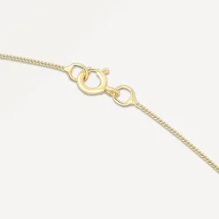 9ct Capricorn Zodiac Pendant (Chain Included)