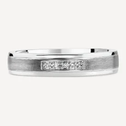 9ct White Gold Diamond Centre Matte & Polished Band Ring