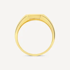 9ct Yellow Gold 0.02 ct Diamond Corner Hexagon Shaped Signet Ring