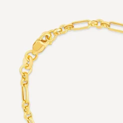 9ct Yellow Gold Diamond Cut Figaro Belcher Bracelet