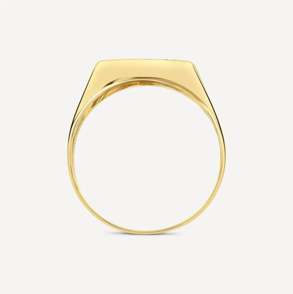 9ct Yellow Gold Onyx & 0.01ct Diamond Signet Ring