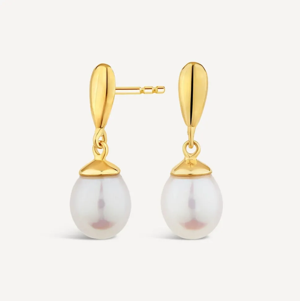 9ct Yellow Gold Polished Top Pearl Drop Earrings