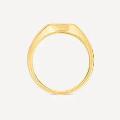 9ct Yellow Gold Square Diamond Set Signet Ring