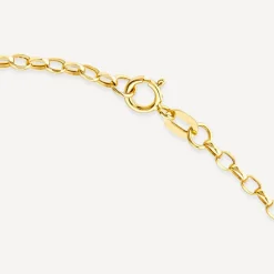 9ct Yellow Gold V-Small Belcher 22' Link Necklet