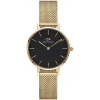 Daniel Wellington Evergold 28mm Black Dial Yellow Gold Case Mesh Bracelet Watch