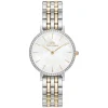 Daniel Wellington Petite Lumine 28mm Mother of Pearl Dial Two Tone Bracelet Watch