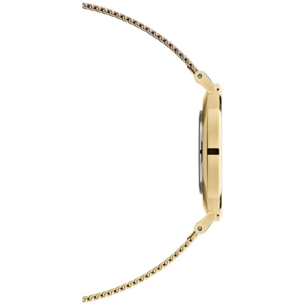 Daniel Wellington Petite Evergold 36mm White Dial Yellow Gold PVD Steel Mesh Bracelet Watch