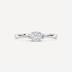 Northern Star 0.50ct Diamond Round Centre & Sides Platinum Ring