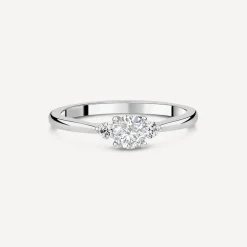Northern Star 0.50ct Diamond Round Centre & Sides Platinum Ring