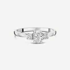 Northern Star 0.55ct Diamond Three Stones Oval Centre & Round Sides Platinum Ring