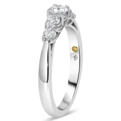 Northern Star 18ct White Gold 0.50ct Diamond Gradual Five Stone Ring